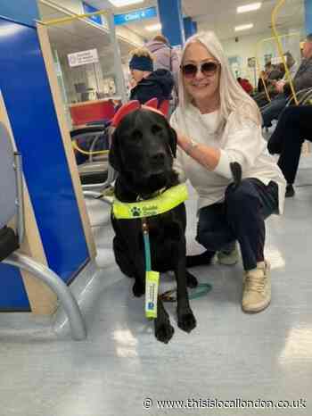 Woman takes Barnet Council to court over LED street lights