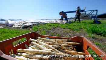 Hier können Sie in Wolfsburg frischen Spargel kaufen