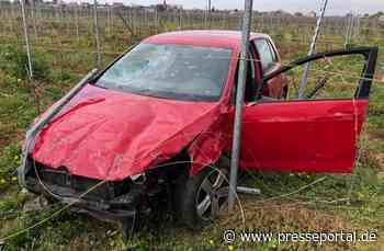 POL-PDLD: Verkehrsunfall im Weinberg