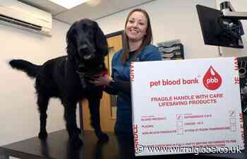 Wirral dog owners urged to put their pets forward as blood donors