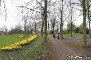 Neuer Umweltamtsleiter: „Wir müssen unsere Bäume wässern“