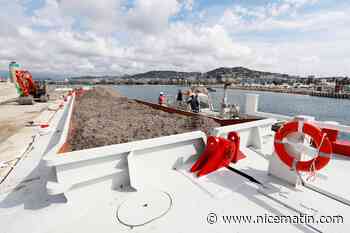 À Cannes, les posidonies du Mourre Rouge repartent à la mer