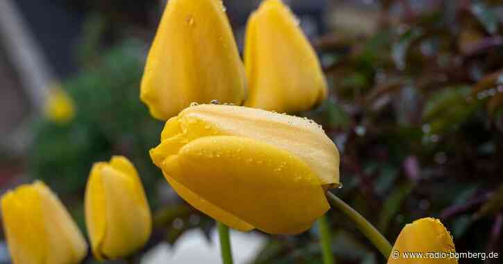 Mildes Wetter am Sonntag – Zur neuen Woche wird es kühler