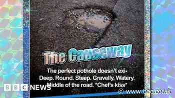 Chelmsford graphic designer creates 'Pot Trumps' online card game