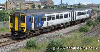 'Stupid' County Durham passenger opened train door and walked up track while holding child