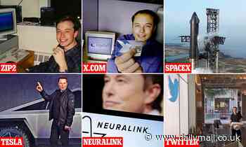 Elon Musk - which companies has he invested in? 