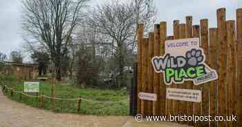 New name for Bristol Zoo's Wild Place announced just days before crunch planning meeting