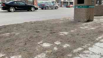 City of Winnipeg starting spring cleanup Monday