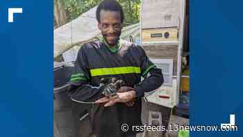 Vigil held for Williamsburg man killed in hit-and-run while walking dog