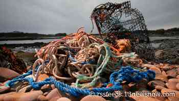 New federal program targets abandoned crab, lobster traps