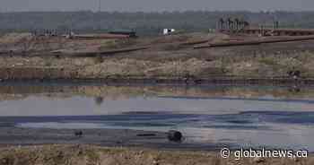 Suncor to be investigated after dead animals found at mine site