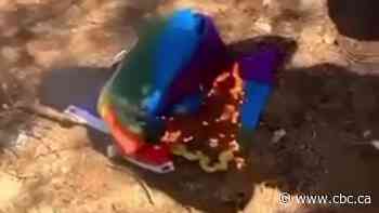 Former student, school officials condemn destruction of Pride flag at N.S. school