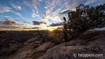 Project Preservation Creates Crowdsourced Database to Document and Preserve Landscapes