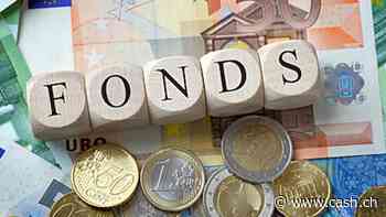 Ex-Uber-Chef Steven Salom investiert 175 Millionen Franken in Schweizer Startups