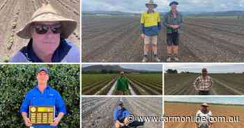 Best of the best named in cotton establishment award