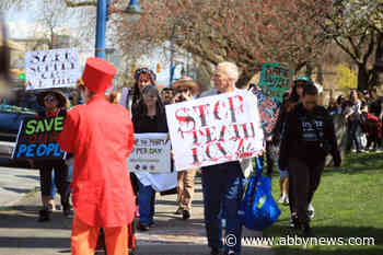 Toxic drug deaths response, care now top priority for First Nations Health Authority