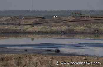 Alberta Energy Regulator: Suncor has reported dead birds at oilsands tailings pond