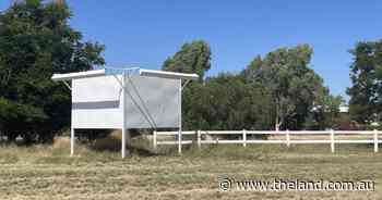 'Shocked', 'disillusioned' - reaction to Qld Pastoral College announcement