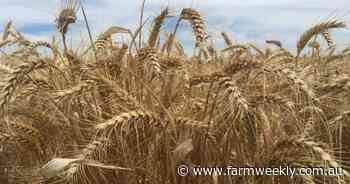 Rabobank puts cropping land average at $7650/ha and grazing land at $9500/ha