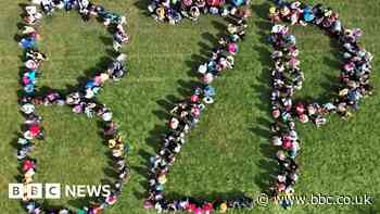 Bristol Zoo Project merges the 'past and future' of wildlife conservation