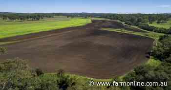 Irrigated black soil creek flats and cattle