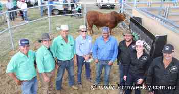 A new stud record set at Jurien
