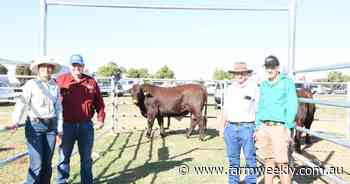 Solid result for both vendors