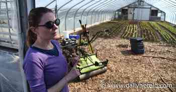 BizWeek: The plan for Durty Nellie's; financing problems for redevelopment plan