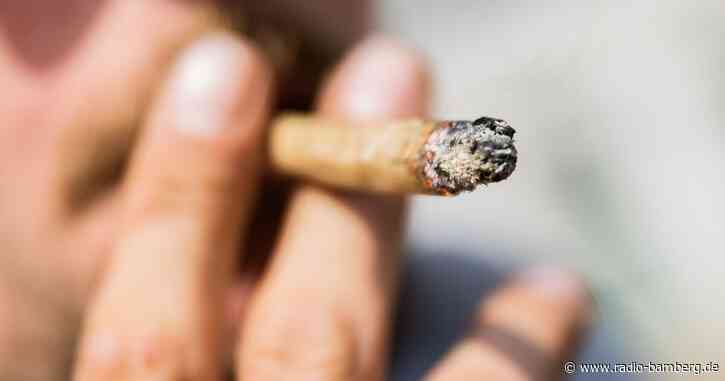 Modellregion für Cannabis-Abgabe? Holetschek klar dagegen