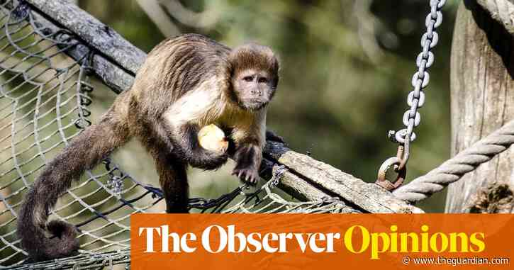 Boomers, you’ve done OK – but don’t expect undying affection from us millennials | Martha Gill