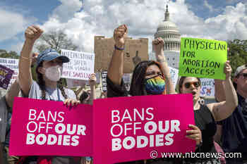 Democrats breathe temporary sigh of relief after Supreme Court order on abortion pill