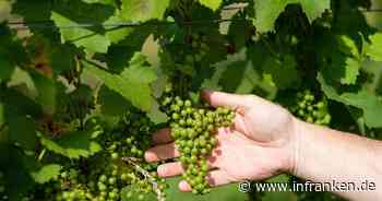 Spitzenweingüter erwarten Preissteigerungen