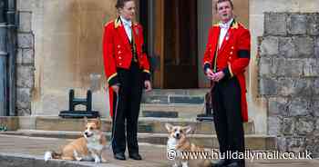 10 of the most unusual Royal Household jobs from King's Bargemaster to 'pantry yeoman'