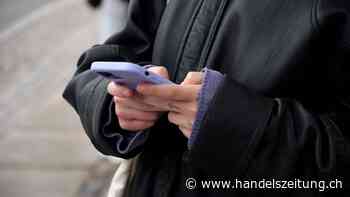 So verhindern Sie den Verlust Ihrer wichtigsten Digitaldaten