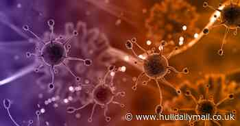 New nuclear medicine therapy could completely cure blood cancer in medical breakthrough