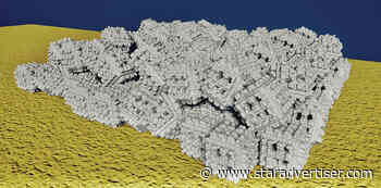 Project aims to kick-start Waikiki coral reefs