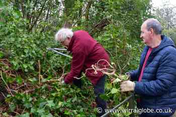 Volunteers help Birkenhead Park prepare for ‘world stage’ status
