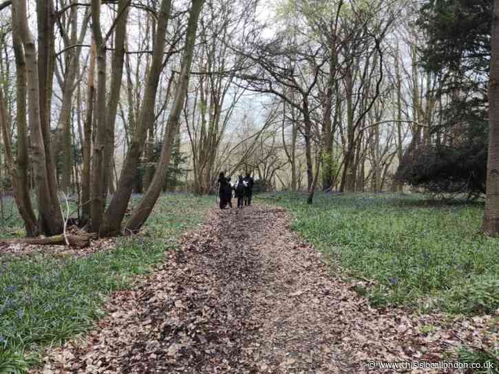 The DofE experience- Bhumiekaa Boyapati, Newstead Wood School