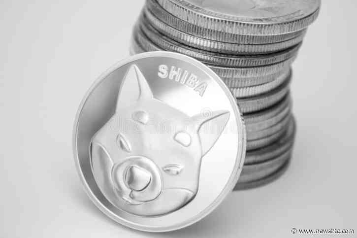 Shiba Inu Price Holds Above $0.00001 – Is It Time For A Rally?