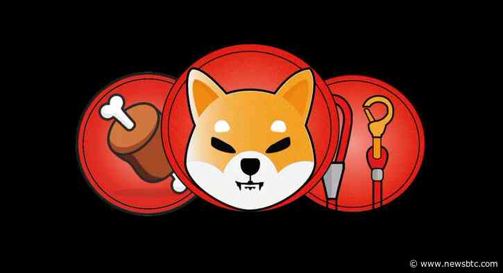 BONE Surges 8.3% As OKX Amasses 1.9 Million BONE Tokens In Single Day