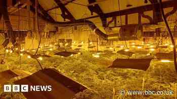 Cannabis farm found in derelict church