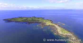 Stunning uninhabited private island is up for sale for just £150k