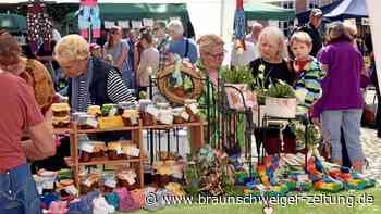 Das bietet die Frühlingsmarkt-Premiere in Fallersleben