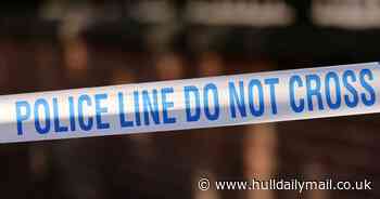 Man dies after 'out of control' dog shot dead by police