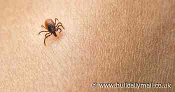 Everything you need to know about tick-borne virus now seen in UK