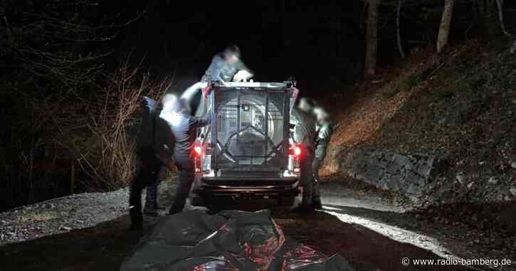 Hunderte fordern in Italien Freilassung von Bärin JJ4