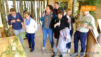 Von Faulbaum bis Zirbe: Die Düfte des Waldes