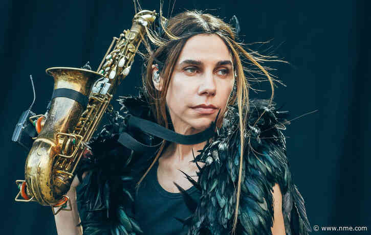 PJ Harvey teases return and shares new studio clips