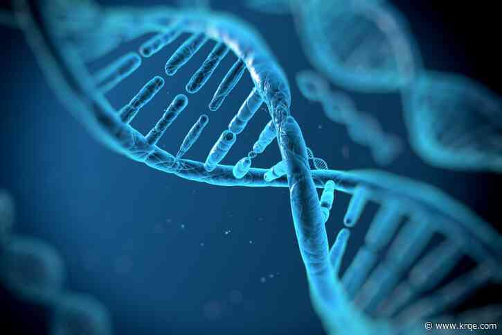 Erasing or replacing errors in a patient's genetic code can treat and cure some genetic diseases