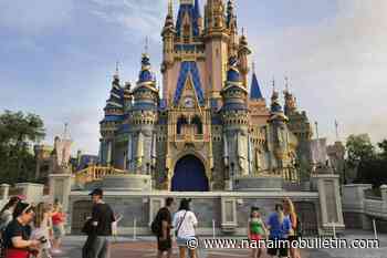 Ex-Disney employee allegedly shot videos up women’s skirts